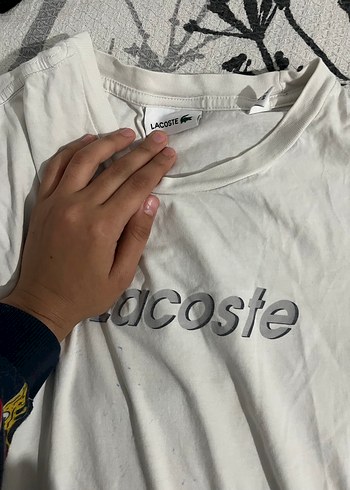 Calvin kleın - lacoste -Collins - Görsel 4