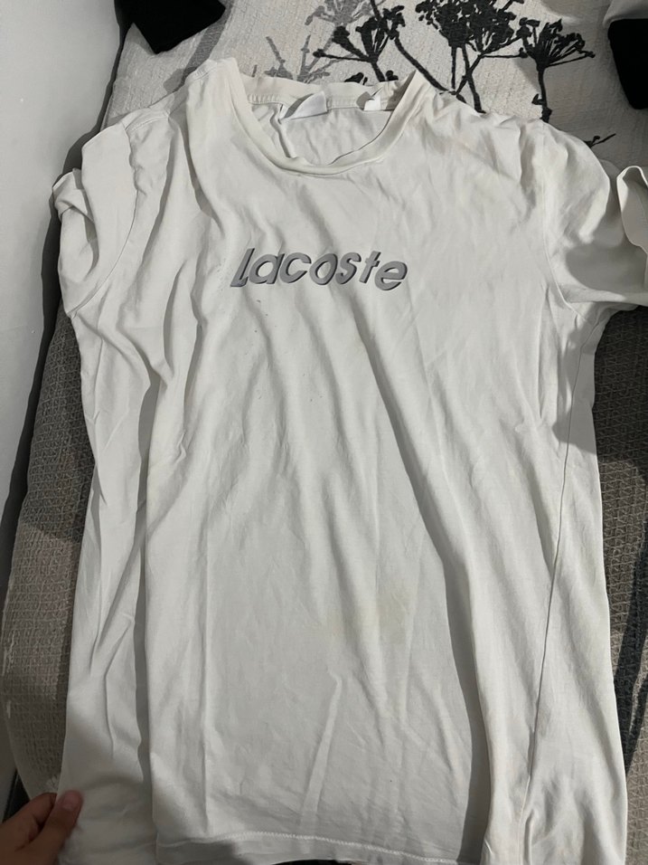 Calvin kleın - lacoste -Collins - Görsel 3