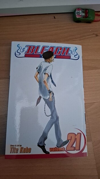 Bleach vol 21