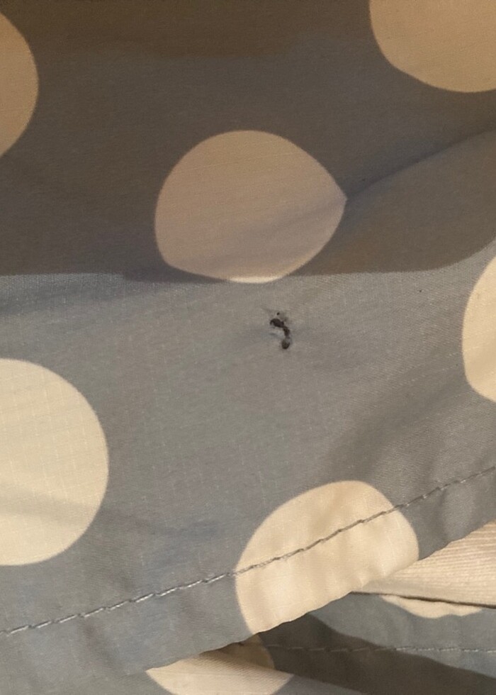 2li trençkot yağmurluk - Görsel 3