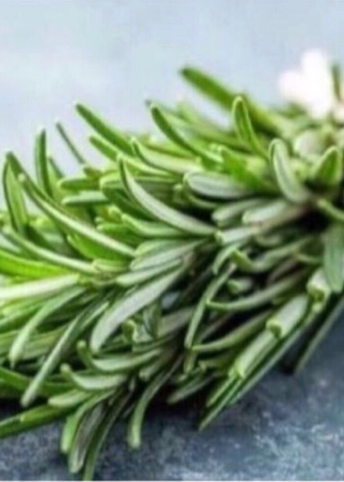 Biberiye yeşil ve taze 20 dal - Görsel 2