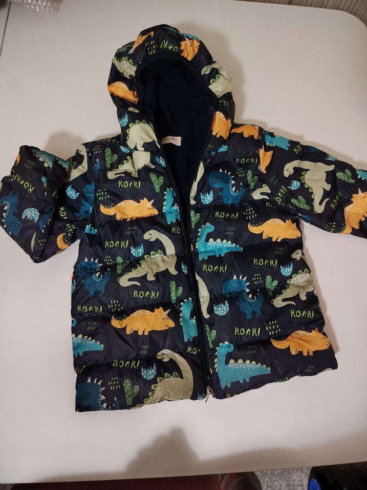 Kapüşonlu Dinozor Baskılı Erkek Çocuk Mont - Görsel 4