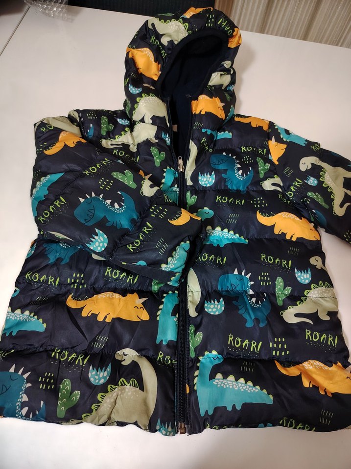 Kapüşonlu Dinozor Baskılı Erkek Çocuk Mont - Görsel 2