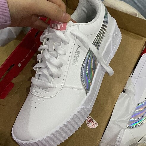 Puma carina