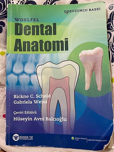woelfel dental anatomi