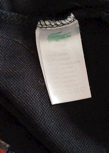 Erkek Siyah Beyaz Çizgili Polo Tişört - Görsel 12