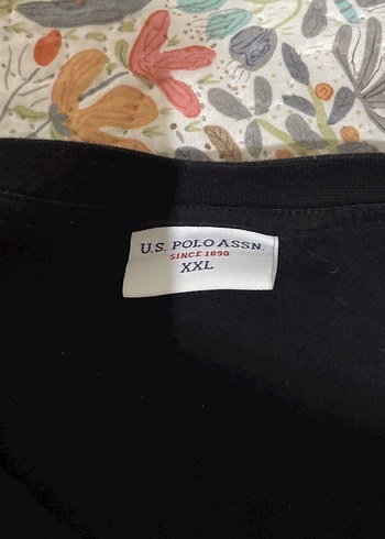 U.S. Polo Assn. Siyah yuvarlak V-Yaka Erkek Tişört XXL