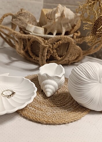 Beden Deniz kabuğu set