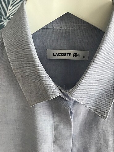 Lacoste gömlek