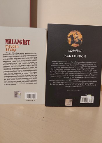 Malazgirt Meydan Savaşı ve Meksikalı Kitapları - Görsel 2