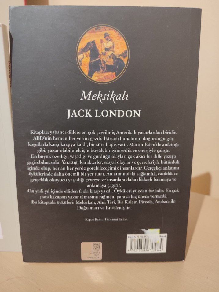 Malazgirt Meydan Savaşı ve Meksikalı Kitapları - Görsel 4