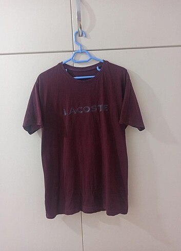 Lacoste erkek tişört  - Görsel 2