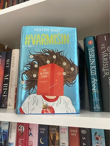 Var mısın Meryem nart
