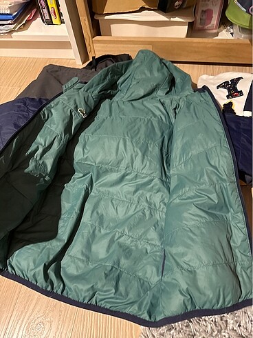 Lacoste Lacoste mont 7 yaş
