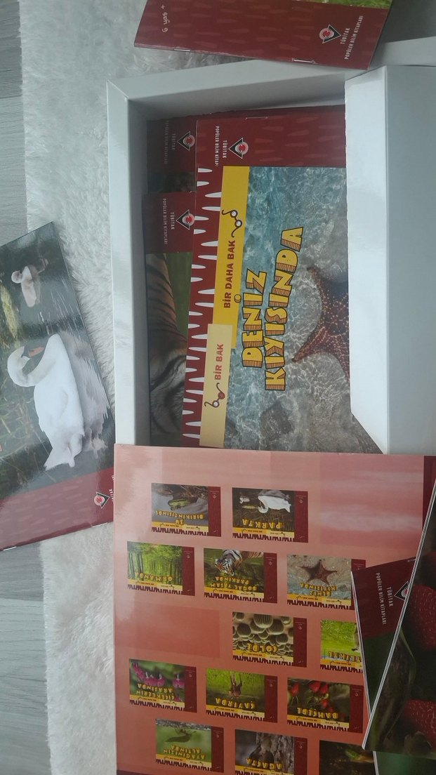 Sağlık Kitabı: Bir Bakışta Sağlıklı Yaşam - Görsel 4