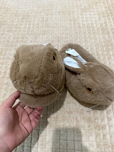 Tavşanlı panduf - Görsel 2