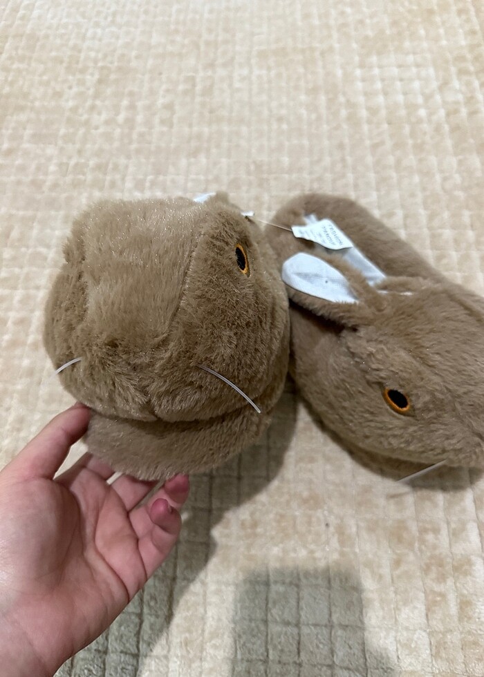 Tavşanlı panduf - Görsel 2