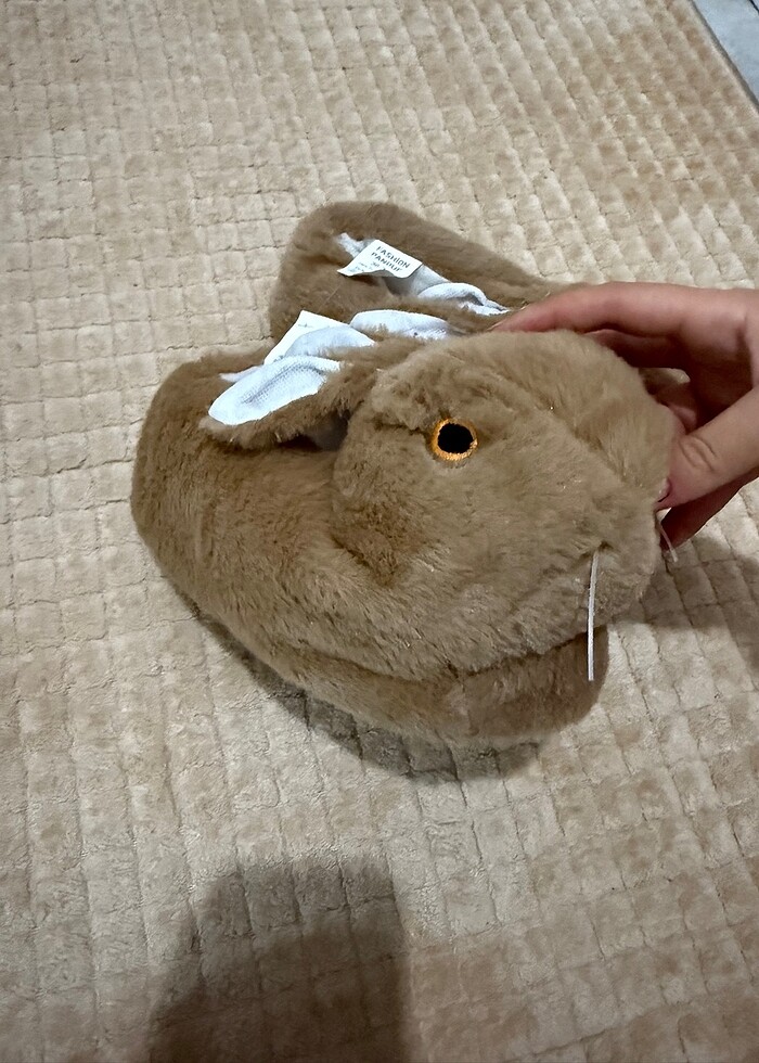 Tavşanlı panduf - Görsel 5