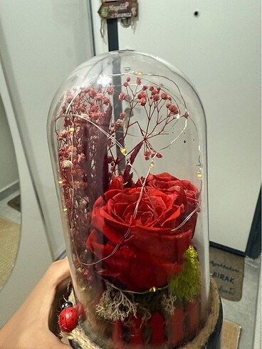 Fanuslu Ledli güllü süs - Görsel 3