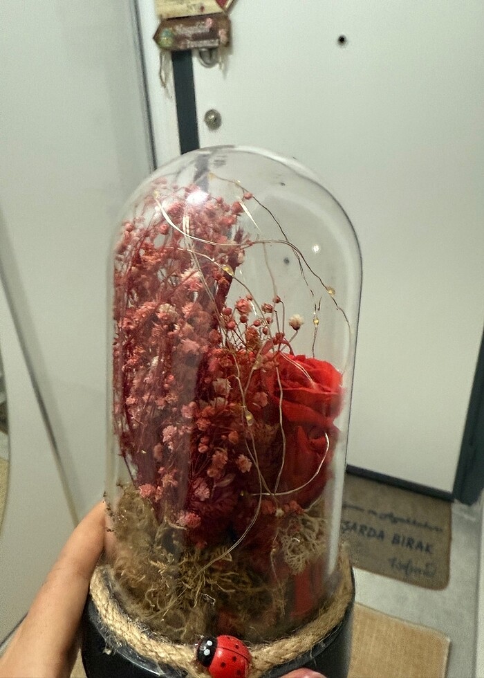 Fanuslu Ledli güllü süs - Görsel 5