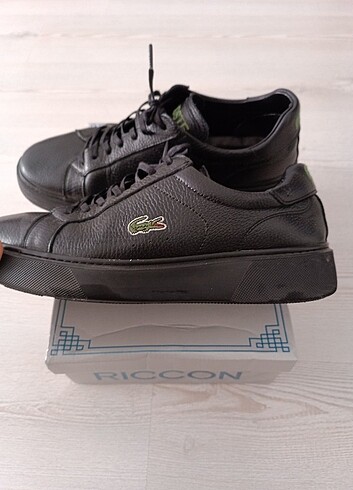 43 Beden Orjinal Lacoste 