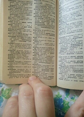 Beden Renk Pocket Dictionary ingilizce sözlük