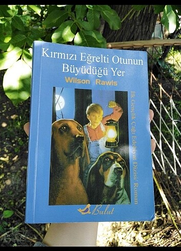KIRMIZI EĞRELTİ OTUNUN BÜYÜDÜĞÜ YER