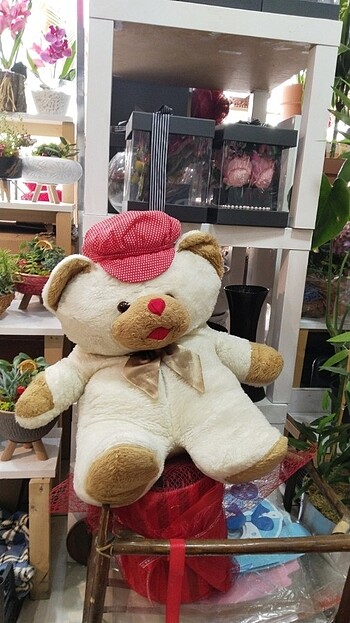 Peluş ayıcık 