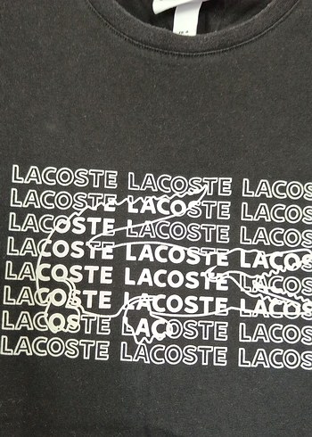 Lacoste Lacoste Erkek Siyah Baskılı Tişört