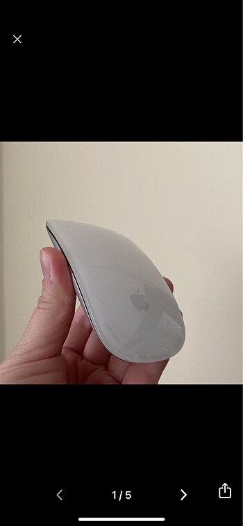 APPLE MOUSE