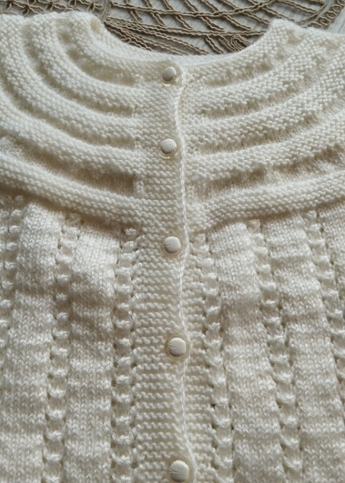 El örmesi Yelek - Görsel 3