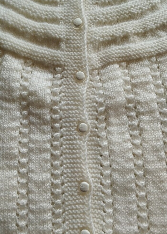 El örmesi Yelek - Görsel 4