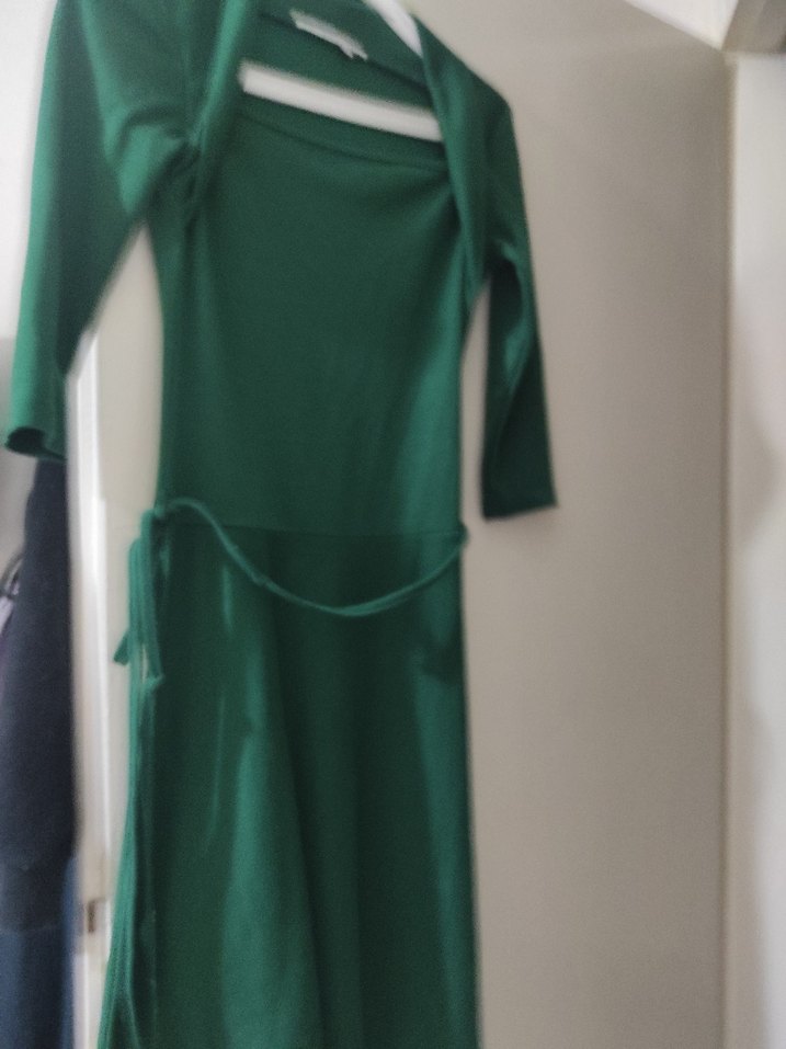 Uzun Kollu Yeşil zara Elbisesi - Görsel 2