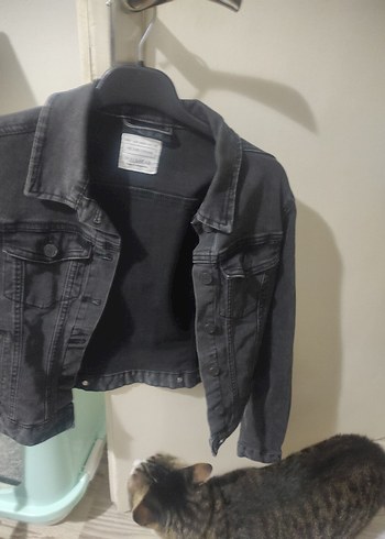 Siyah Düğmeli Kadın Kot Ceket - Görsel 3