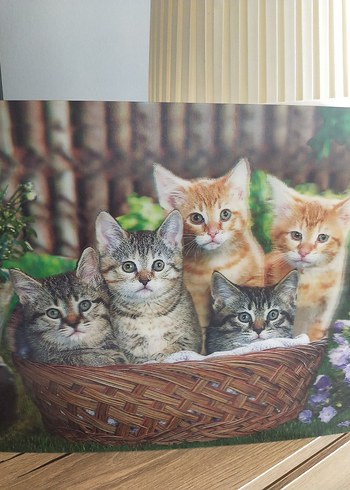 Sepette Beş Yavru Kedi Tablosu - Görsel 2