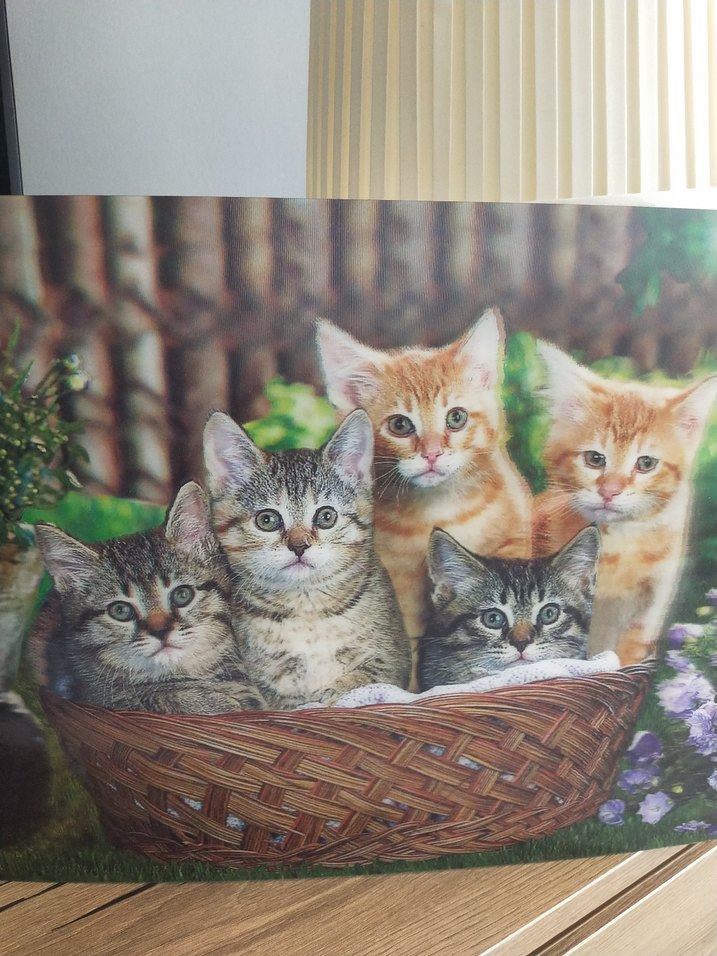 Sepette Beş Yavru Kedi Tablosu - Görsel 2