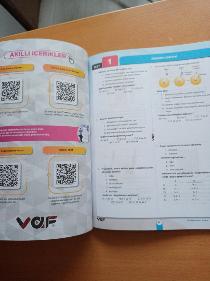 11. Sınıf Biyoloji  Soru Bankası - Görsel 2