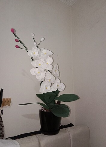 Yapay orkide 