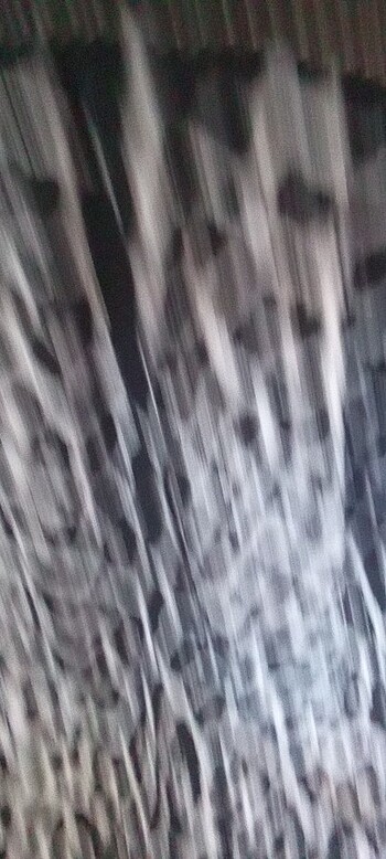 m Beden Leopar Elbise