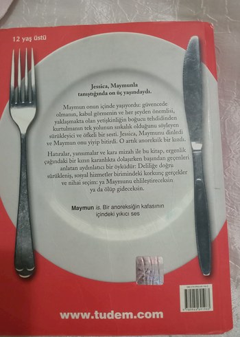 Maymunu Ehlileştirmek - Görsel 2