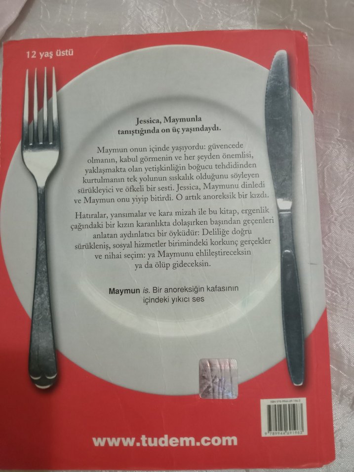 Maymunu Ehlileştirmek - Görsel 2