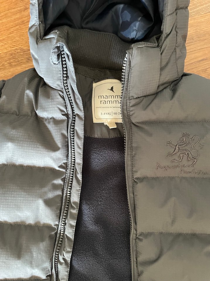 Gri Erkek Çocuk Kapüşonlu Mont - Görsel 3