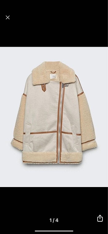 Stradivarius mont