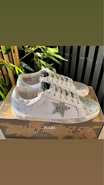 Golden Goose