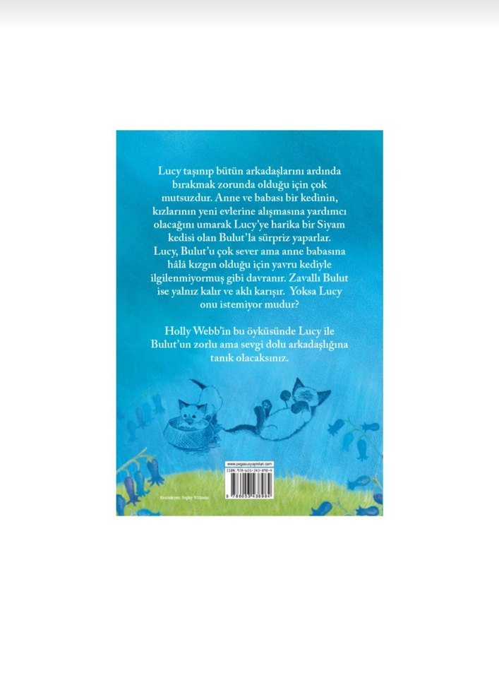 İstenmeyen Kedi Bulut - Holly Webb - Görsel 2