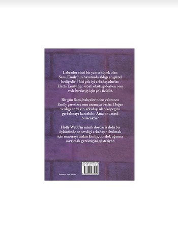 Üzgün Sam - Holly Webb - Görsel 2