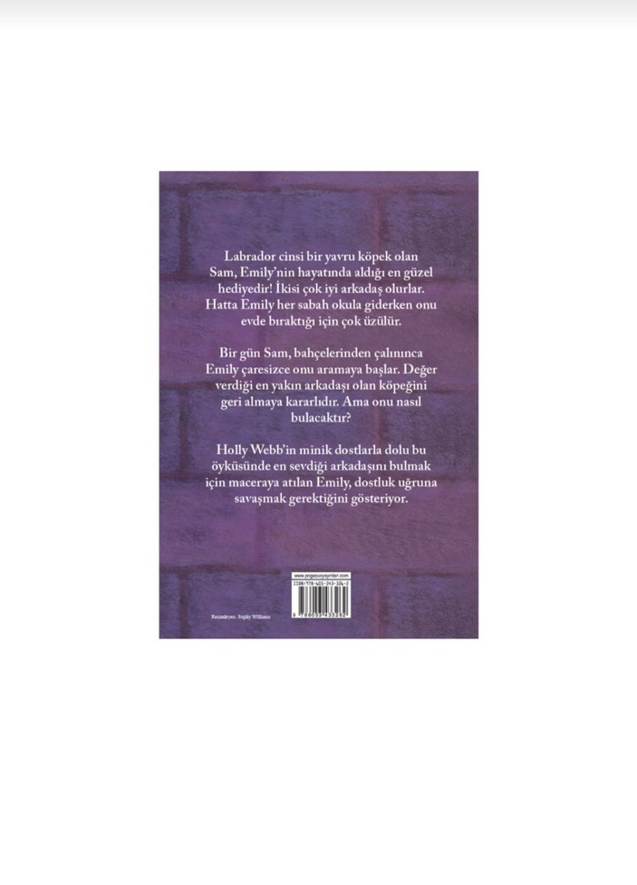 Üzgün Sam - Holly Webb - Görsel 2