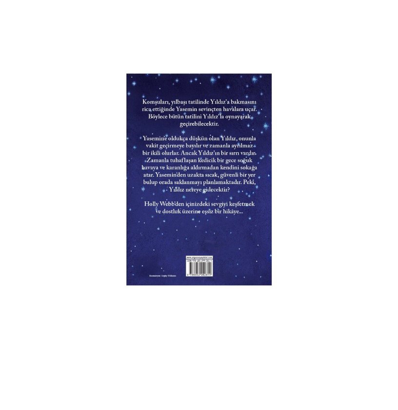 Kayıp Kedicik Yıldız - Holly Webb - Görsel 2