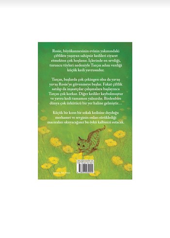 Sokak Kedisi Tarcan - Holly Webb - Görsel 2