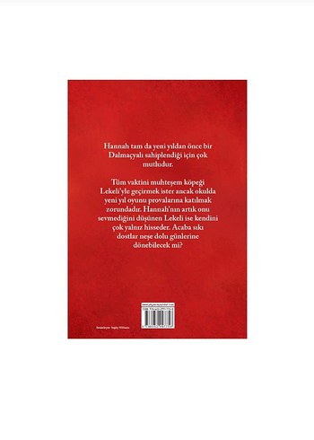 Lekeli'nin Yalnız Yeni Yılı - Holly Webb - Görsel 2